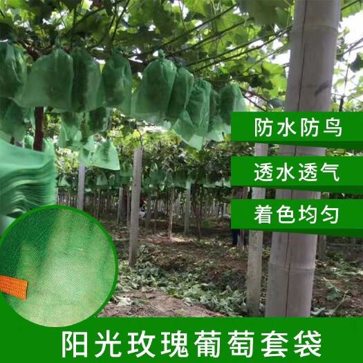 种植套袋  阳光玫瑰专用套袋无纺布防鸟葡萄套袋 伞罩