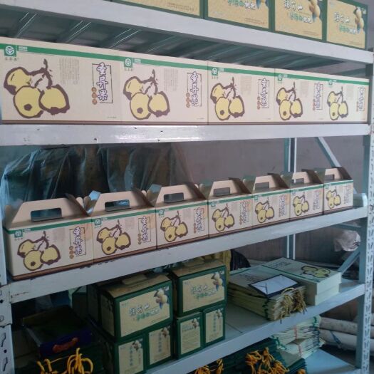 宁海县 浙江宁海白枇杷，自家种植！欢迎咨询采购，批发零售都可以