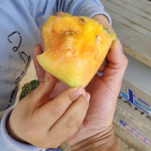 菏泽 彩虹西瓜