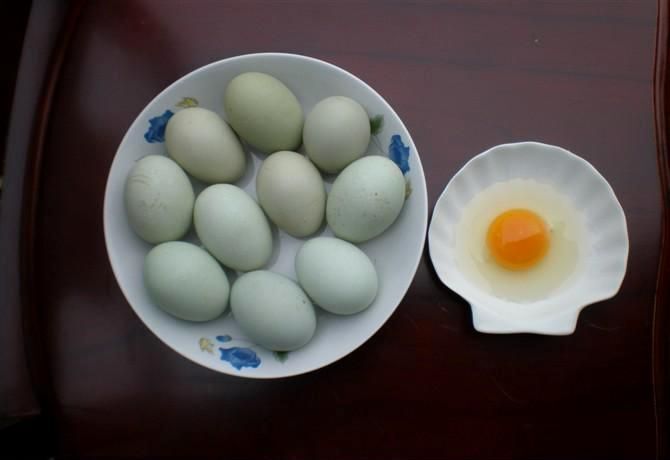 遵义绿壳鸡蛋 食用 散装
