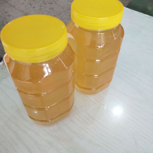 宁陵县百花蜜 塑料瓶装 2年以上 