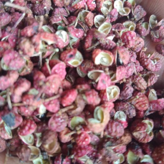 济南红花椒  农家一手货源，加工净度好，颗粒红，皮厚麻度好，开口
