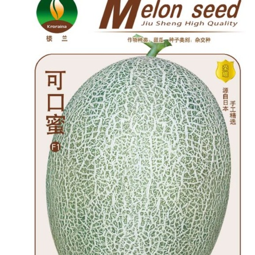新疆哈蜜瓜种子 楼兰～可口蜜6斤抗病抗裂甜度高商品性好产量高