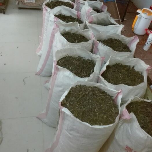 南阳干芝麻叶 12-18个月
