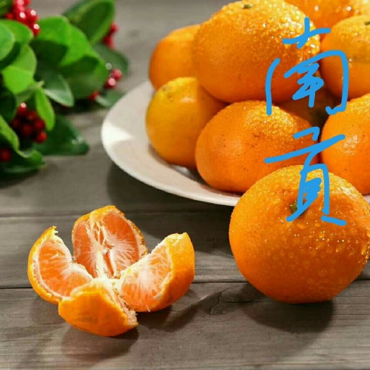 临海市涌泉蜜桔 正宗浙江临海涌泉南贡蜜桔，供应时间：每年11月至次年的1月份