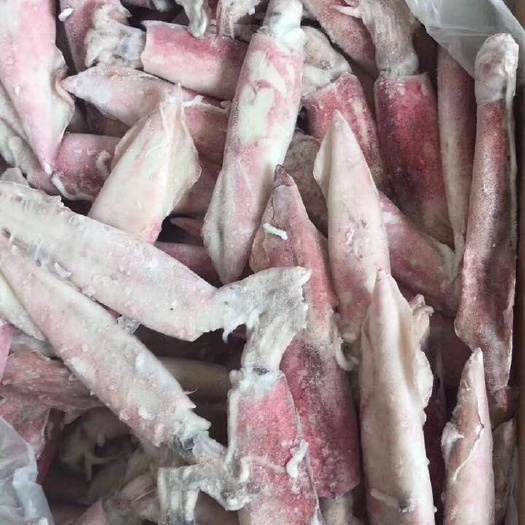 南京冻笔管鱼 笔管鱿鱼