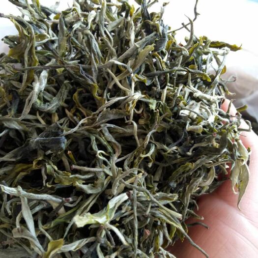 南涧县 绿茶2019年新茶云南普洱地区出产地直销，高山云雾出好茶！