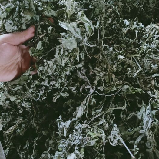 随县苦艾 各种药材