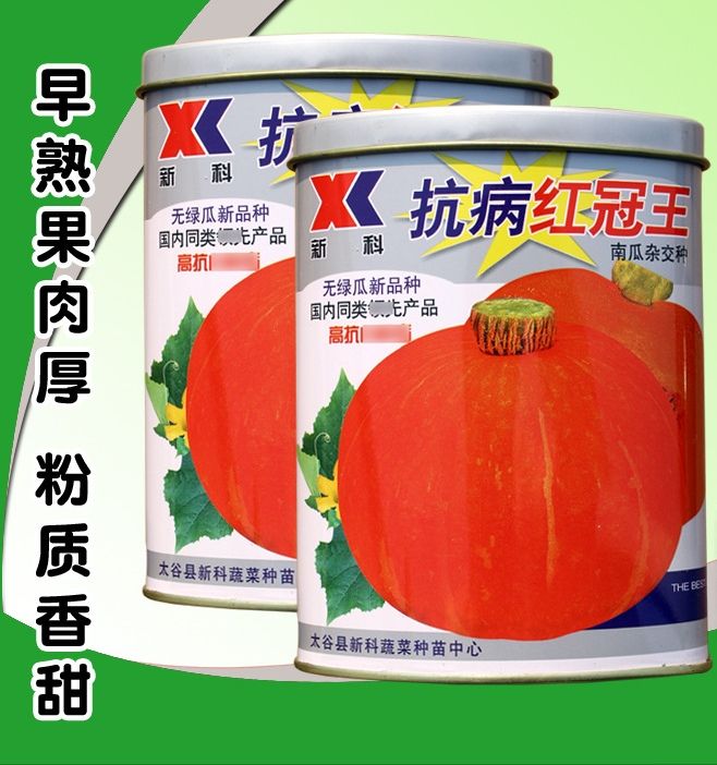 南靖县红板栗南瓜种子  早熟红板栗小南瓜