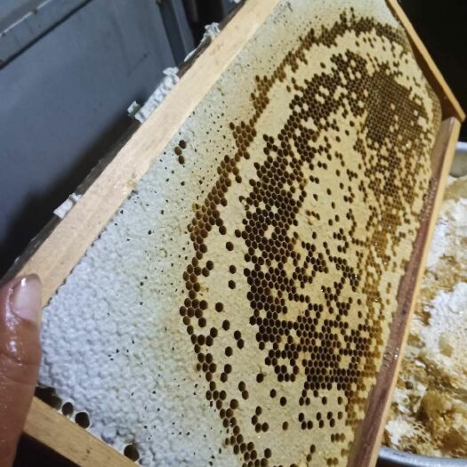 重庆市 正宗西部地区产土蜂蜜，，无污染，，超高度。