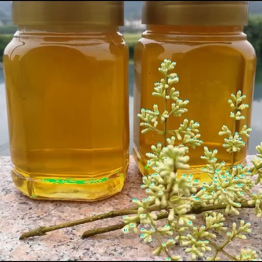 杭州 土蜂蜜（中华蜜蜂）