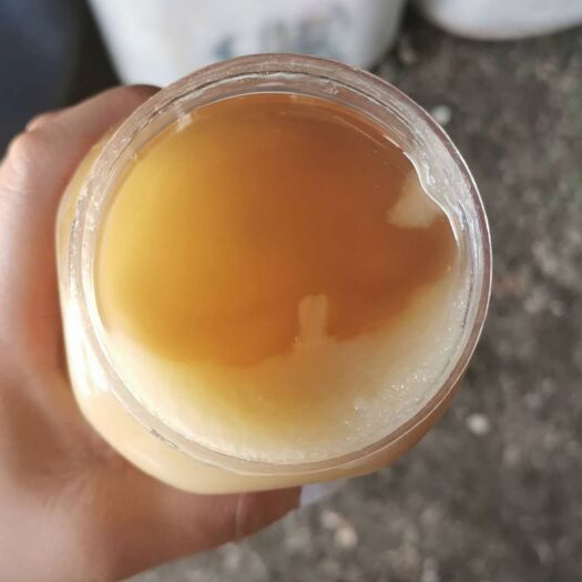 灯塔市槐花蜜 自己家的，不加糖