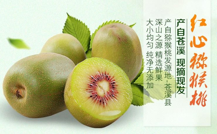  红心猕猴桃采摘季