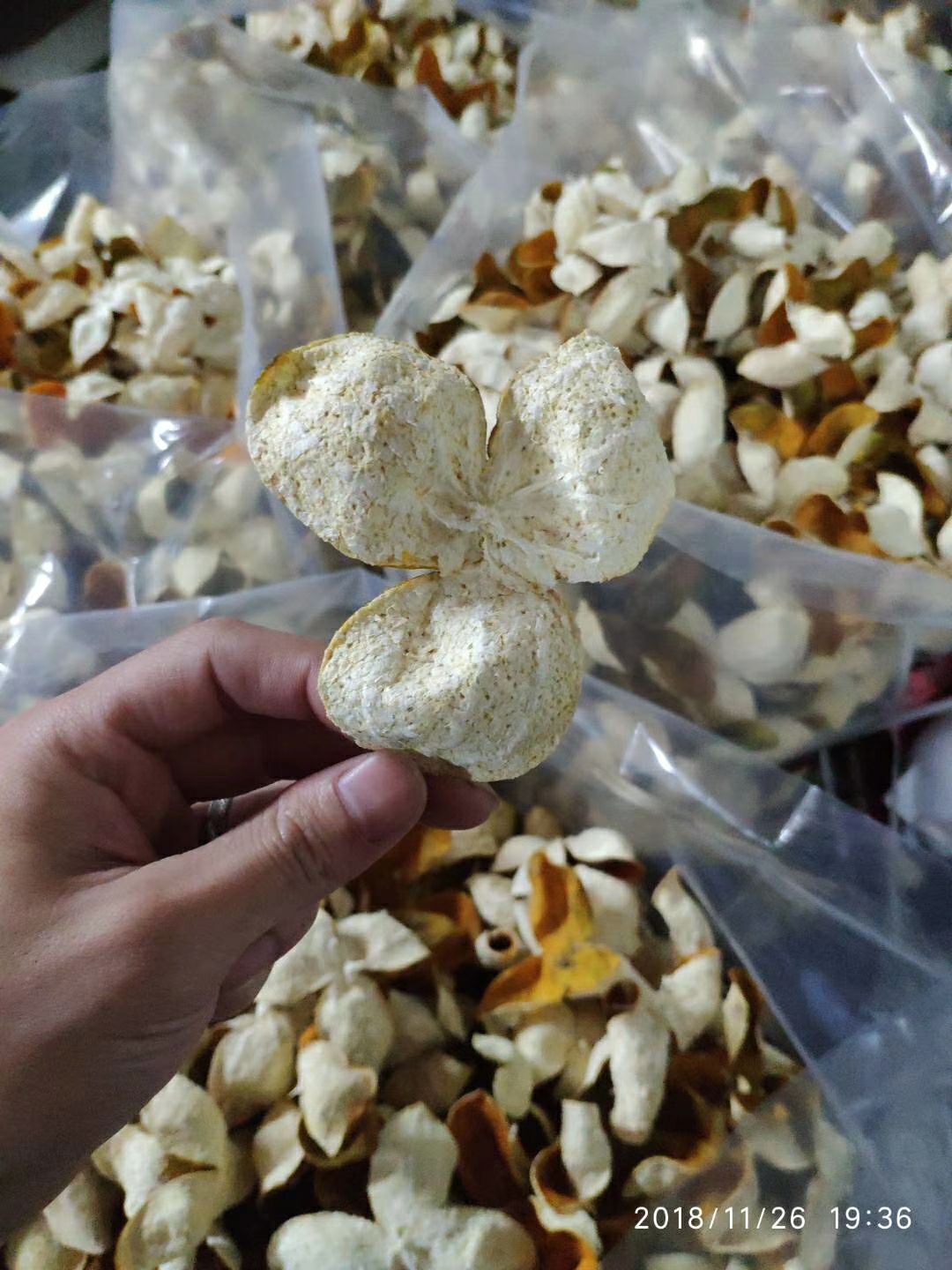 2018年份新会陈皮核心十年老树柑