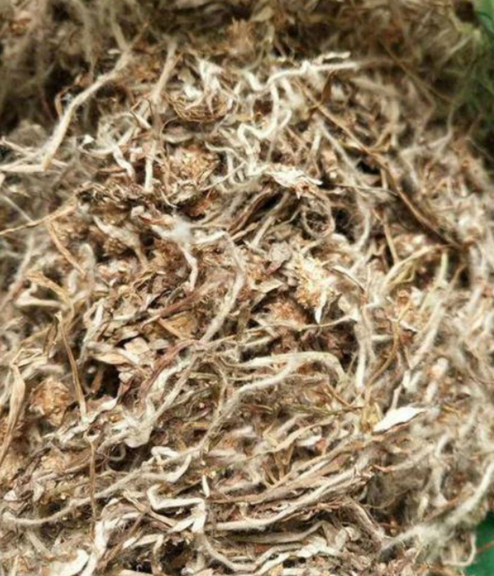安国市天青地白 中草药零售规格齐全 价格优惠