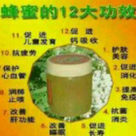 商丘百花蜜 大量供应蜂产品批发零售