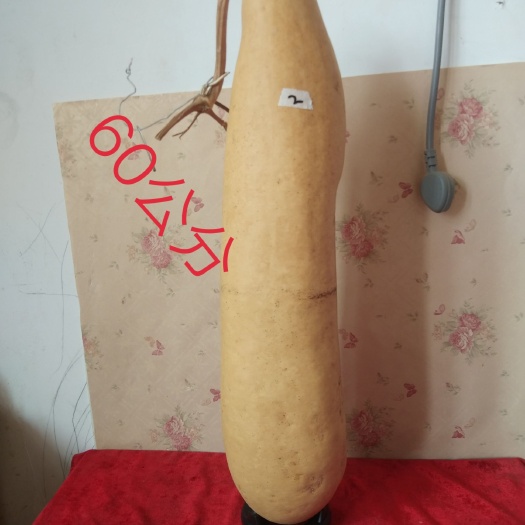  冬瓜葫芦
