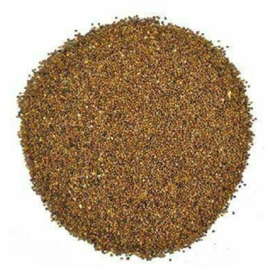 菟丝子 中草药零售规格齐全 价格优惠