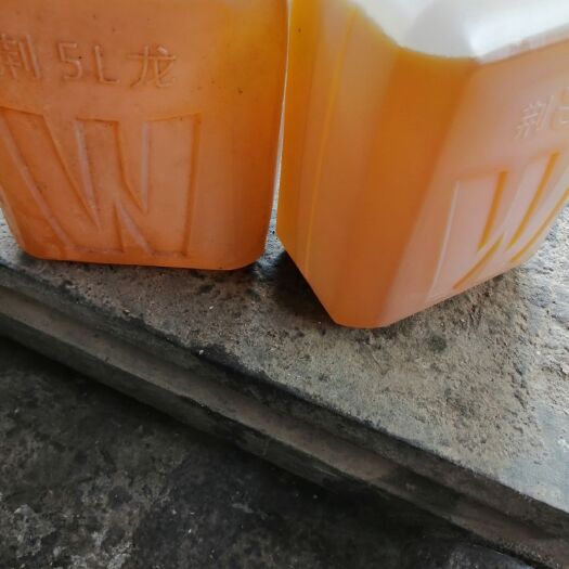 宜城市自榨纯菜籽油