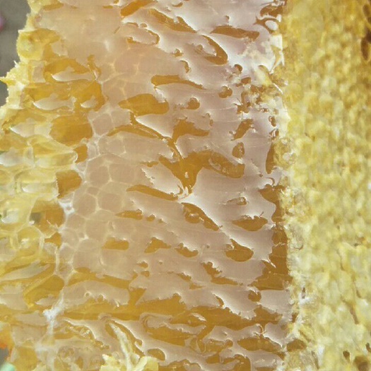 金平县 云南土蜂蜜(中蜂蜂蜜)