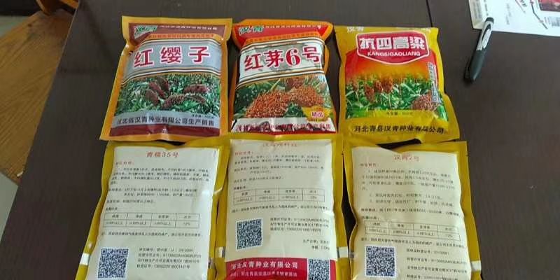  高粱种子，优质酿酒高粱种子