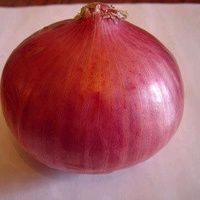 德州红皮洋葱 7~8cm