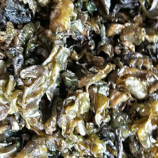 吉安县 新鲜地皮菜，大片，干净