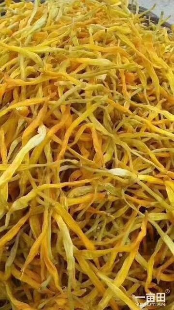 方城县干黄花菜 自产自销的黄花菜
