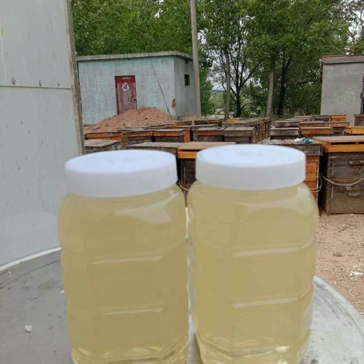 长春洋槐蜂蜜 桶装 2年  槐花蜜