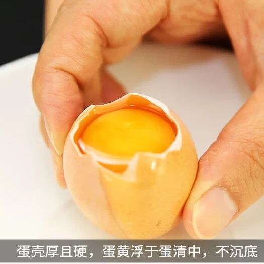 武汉 养绿缘低醇高营养鸡蛋