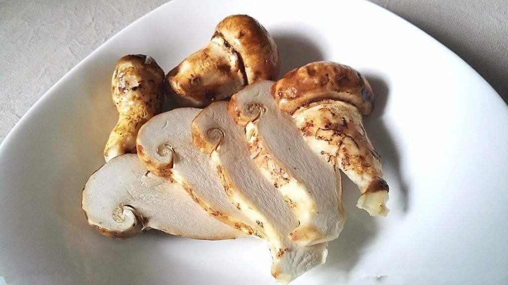 西藏松茸250克/包装箱