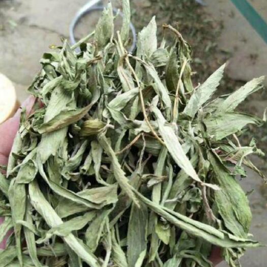 甜叶菊茶 中草药零售规格齐全 价格优惠