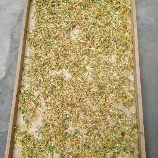 旺苍县 巴蜀山区天然野生金银花，毛花干货