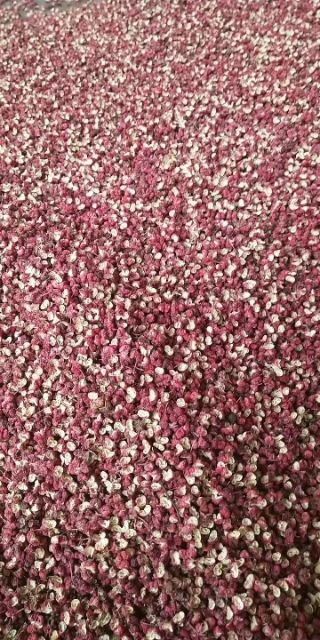 陇南青花椒 甘肃特级85
