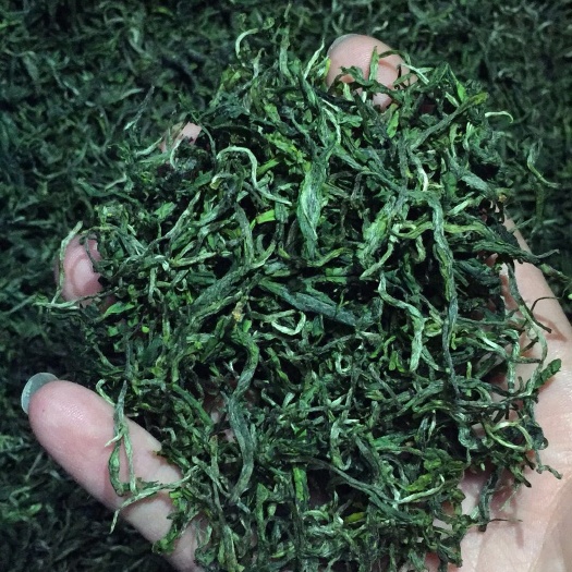 石台县 绿茶