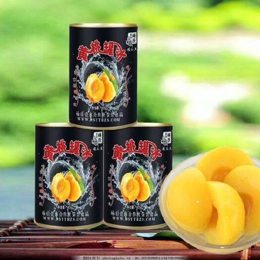 砀山县杂果罐头 百年绳氏黄桃罐头425g*5罐/箱