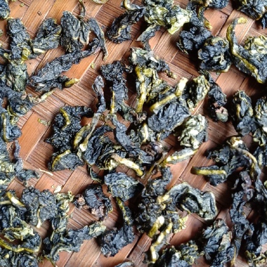 永春县 茶农现做铁观音，
