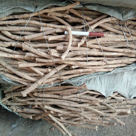 白皮芪  甘肃原产地黄芪条规格全，品质好。