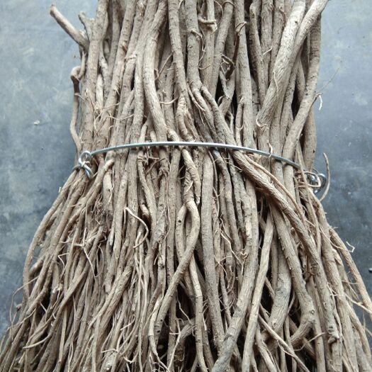 渭源县黄芪切片  甘肃本地产品，含量达标，希望订购。价格合理