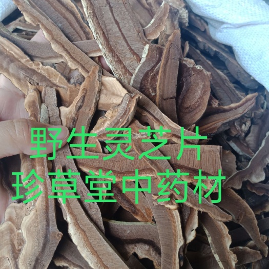 安国市 红灵芝片家种灵芝片赤灵芝全国包邮