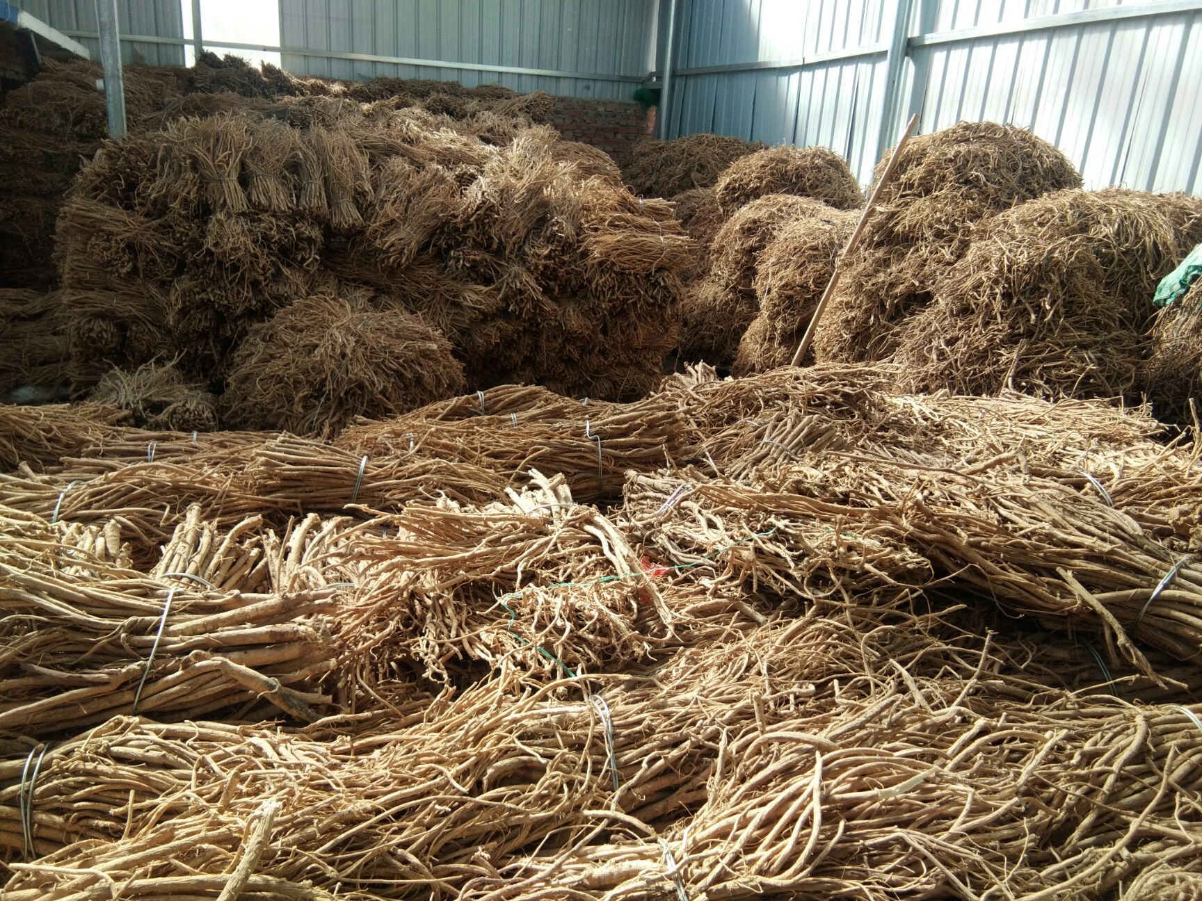 白皮芪  原产地千年药乡、道地药材黄芪、味道香甜品质好。
