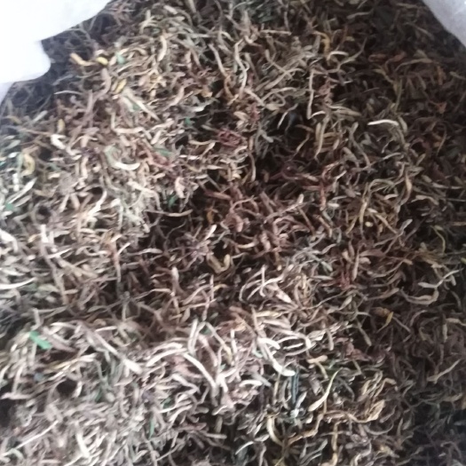 当地产金银花质量好 无杂子含量高
