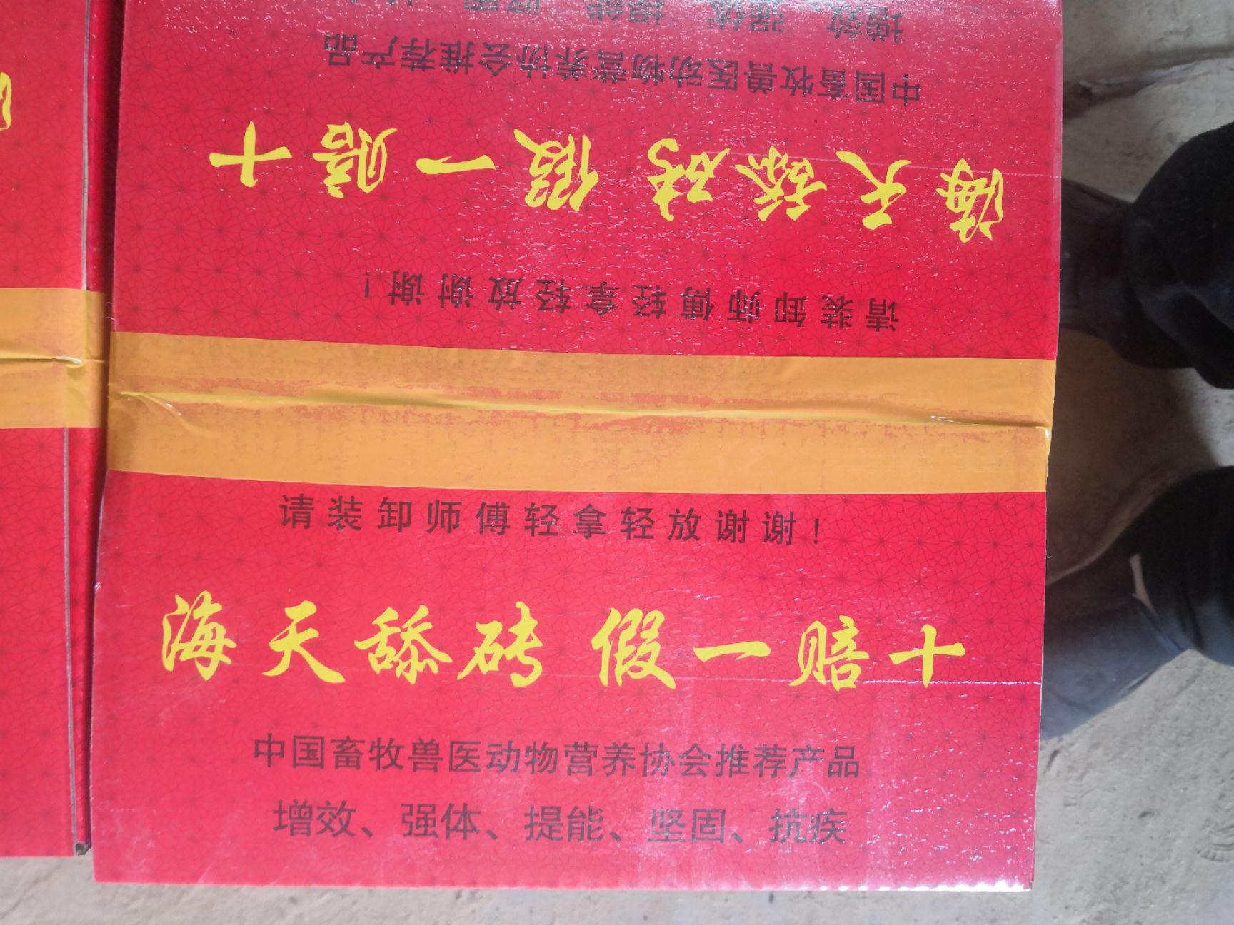 舔砖 各种类型高密度牛羊添砖