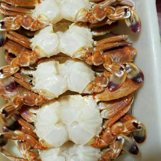 东山县梭子蟹  冻去壳扁蟹排 肉蟹，肉质肥嫩饱满，鲜甜可口  全国