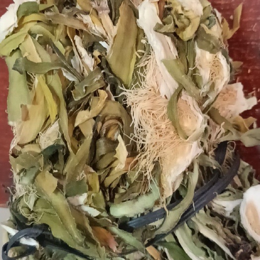 霸王花中药材霸王花