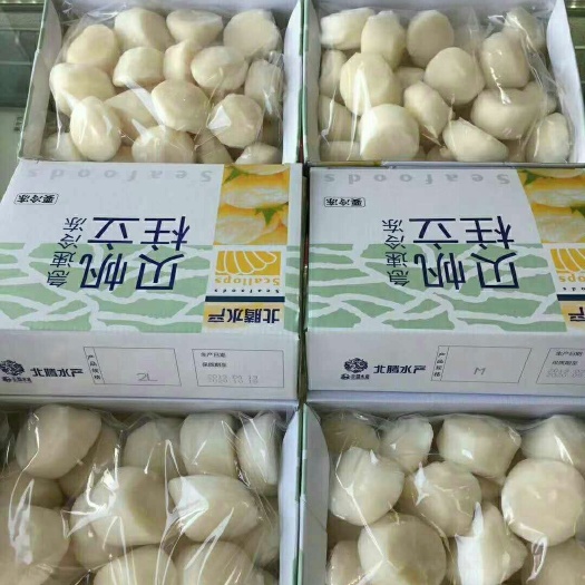 带子 