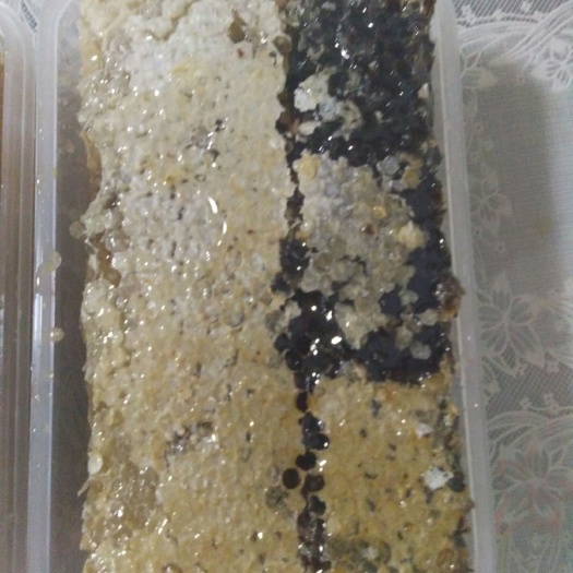 常州百花蜜 蜂巢蜜，净蜜