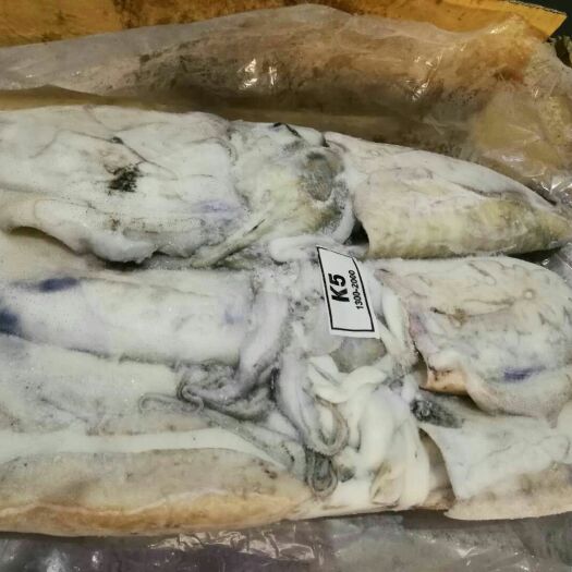 平果市深水墨鱼 合作共赢