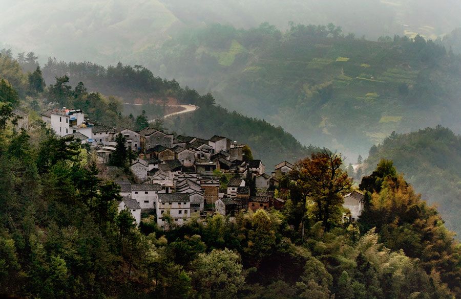  自家卖的山茶油