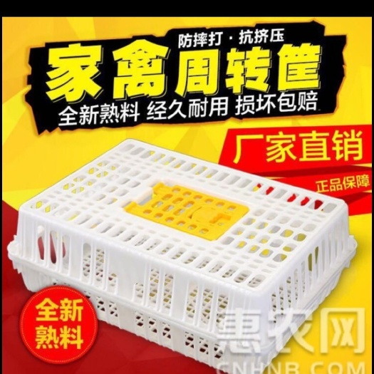 鸡笼 成鸡周转箱加强型特大运输笼塑料鸡鸭鹅鸽子笼鸡用运输筐子